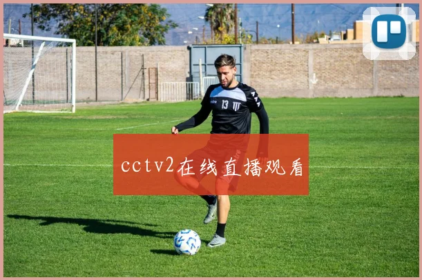 cctv2在线直播观看