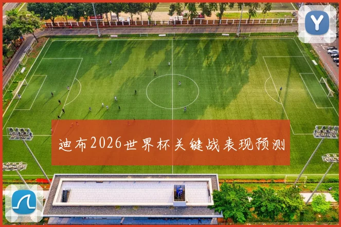 迪布2026世界杯关键战表现预测