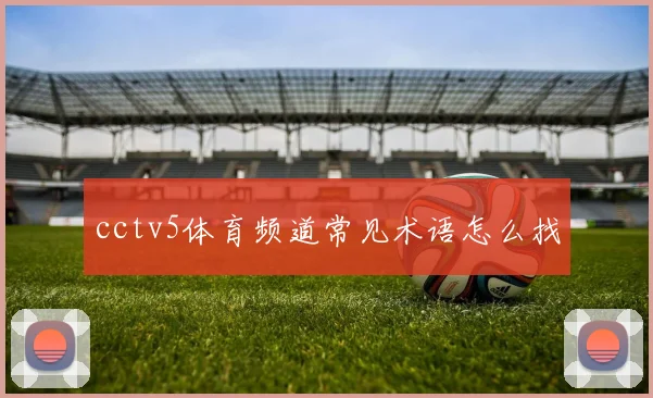 cctv5体育频道常见术语怎么找