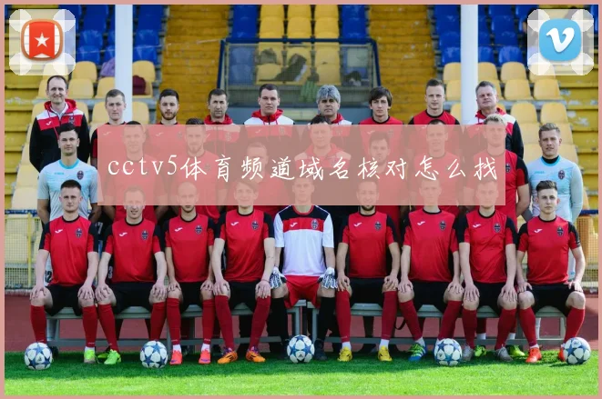 cctv5体育频道域名核对怎么找