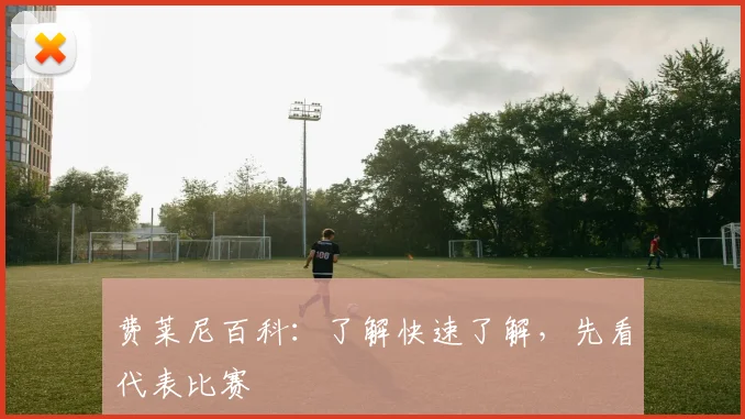 费莱尼百科：了解快速了解，先看代表比赛