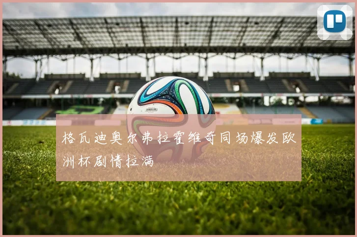 格瓦迪奥尔弗拉霍维奇同场爆发欧洲杯剧情拉满